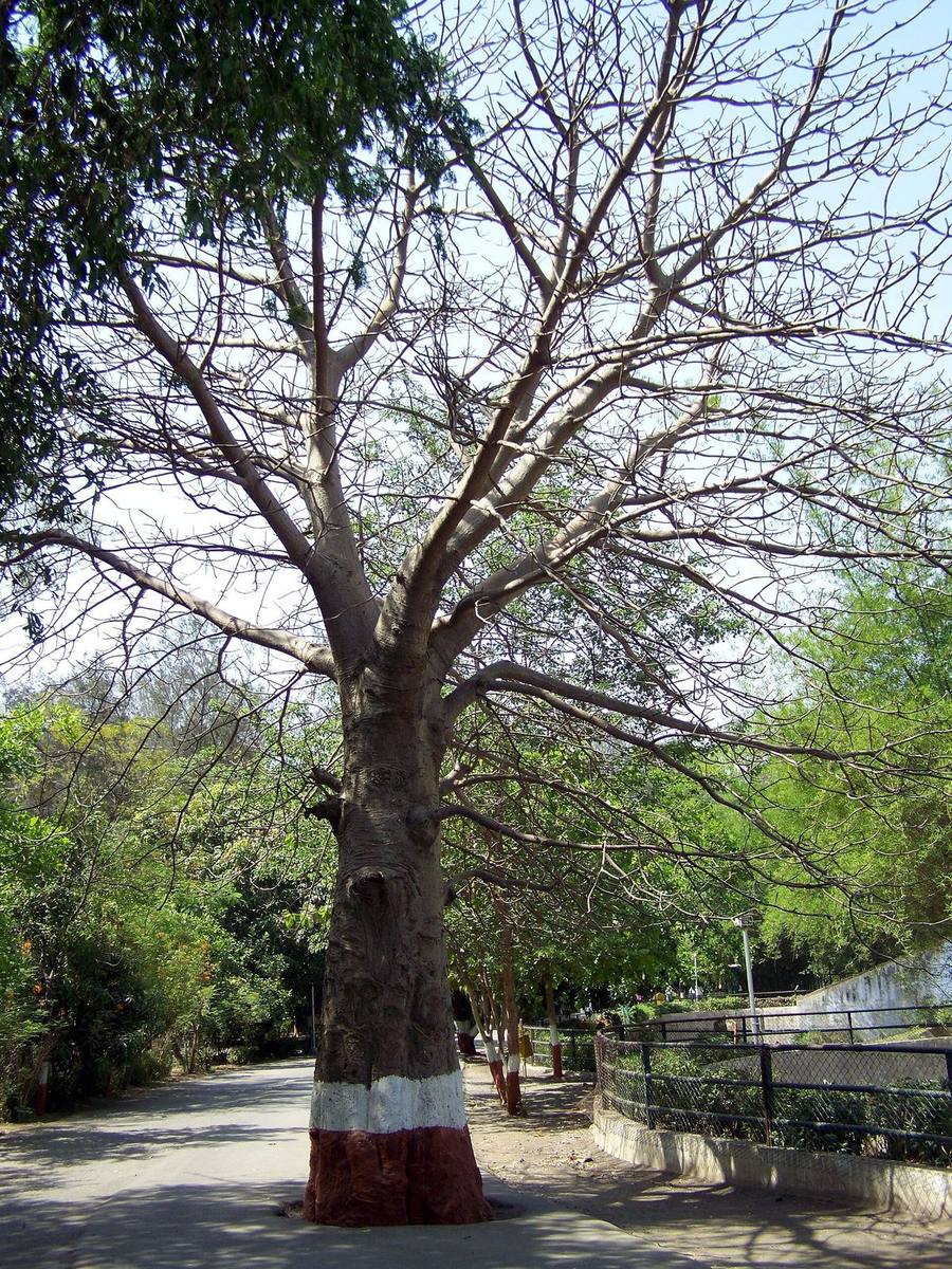 Sarthana Nature Park, Surat
