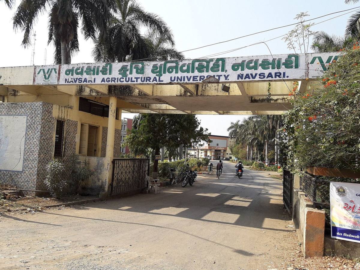 Navsari Parsi heritage town
